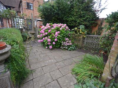 Picture 7